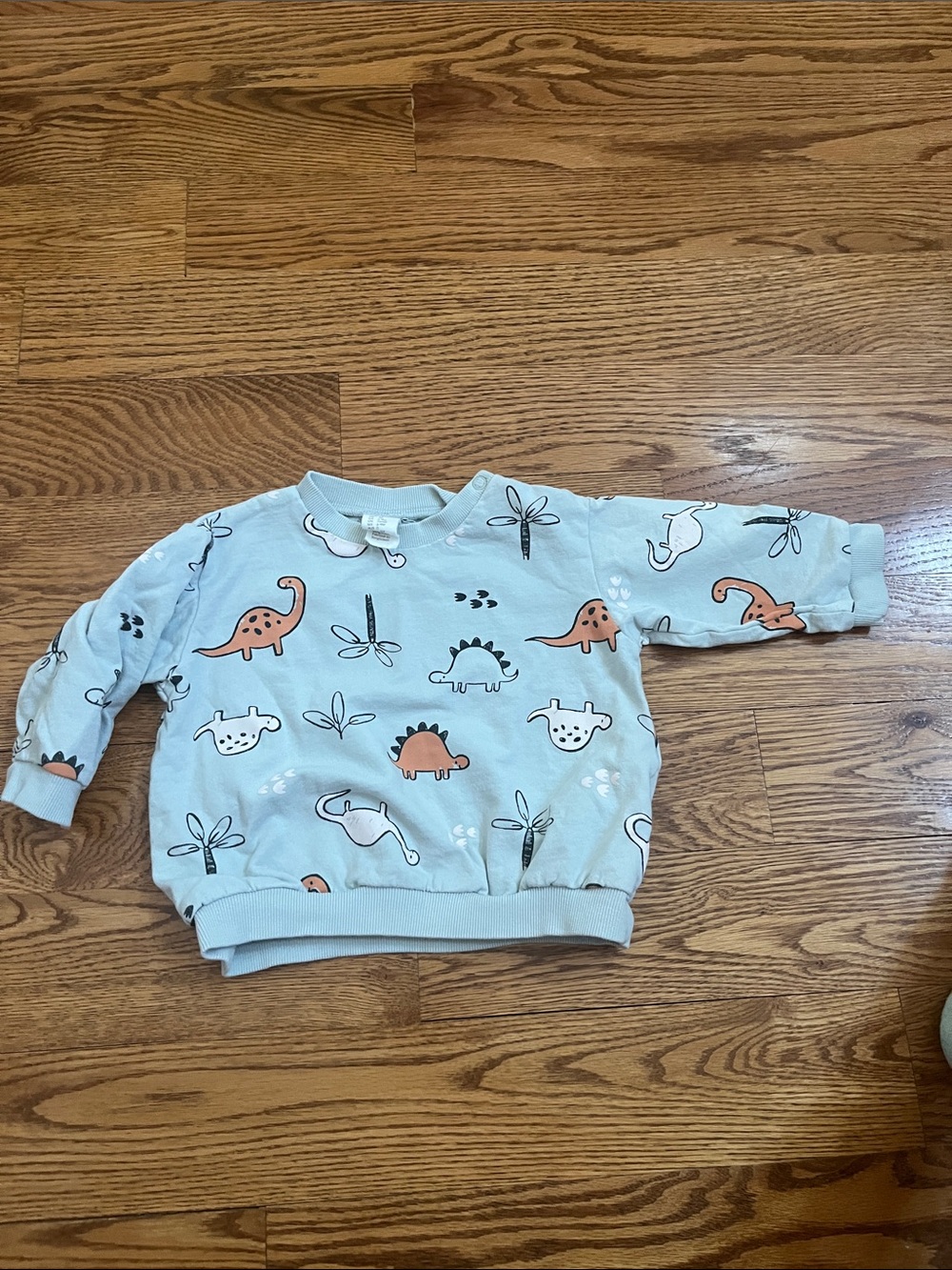 H&M Light Blue Dino Print Hoodie Sweatshirt